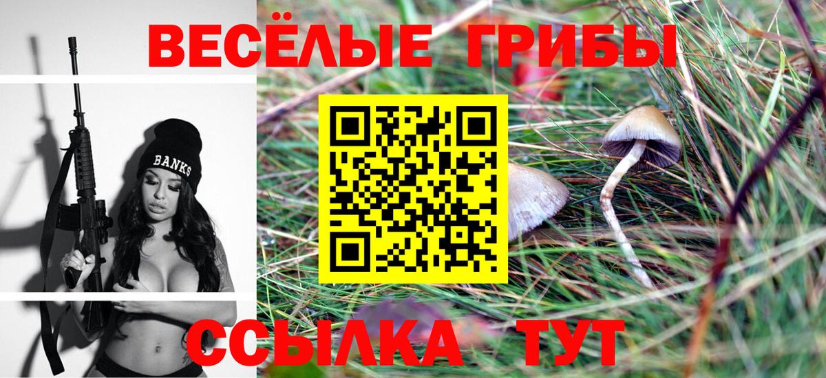 Галлюциногенные грибы мицелий  Вход с VPN  Галлюциногенные грибы Cubensis  Сорочинск 